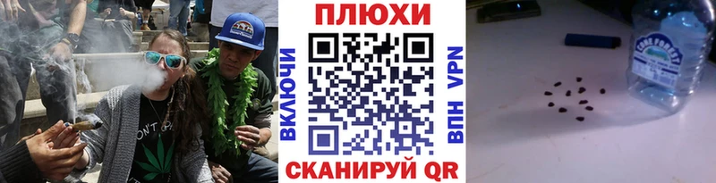 что такое наркотик  Черняховск  ГАШИШ индика сатива 