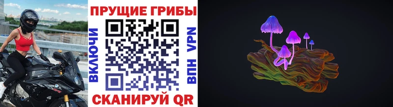 гидра как зайти  закладка  Черняховск  Галлюциногенные грибы Psilocybine cubensis 